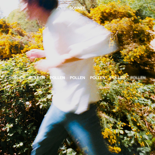 Pollen cover art