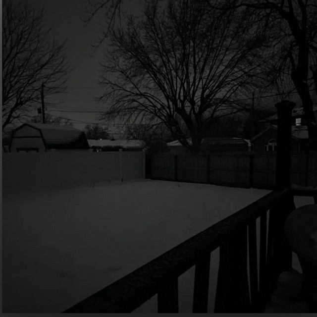 Nights cover
