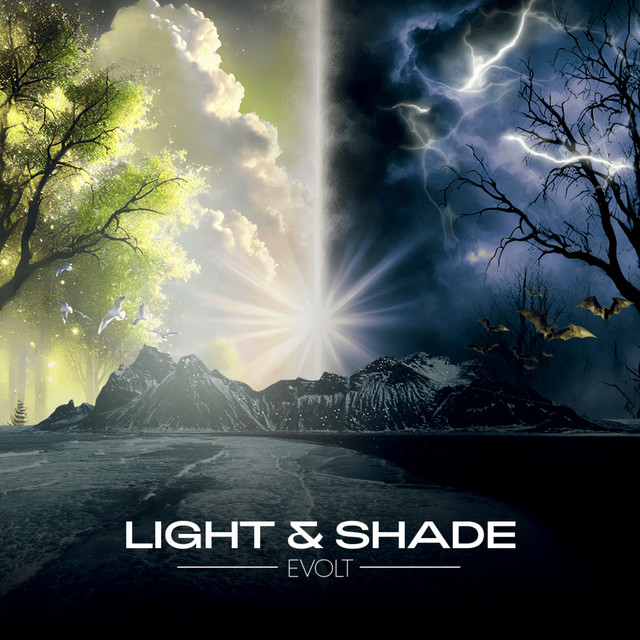 Light & Shade cover art