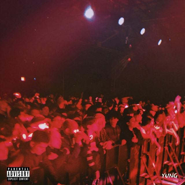Starlight cover art