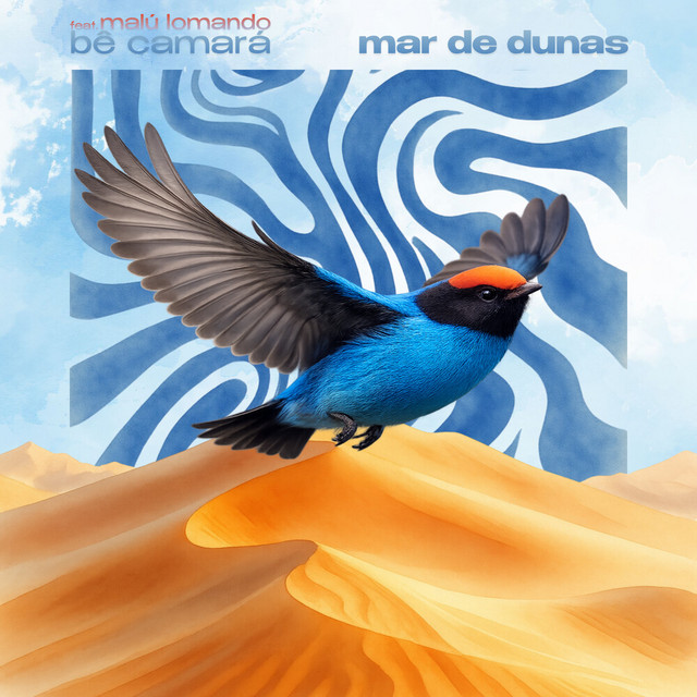 Mar de Dunas