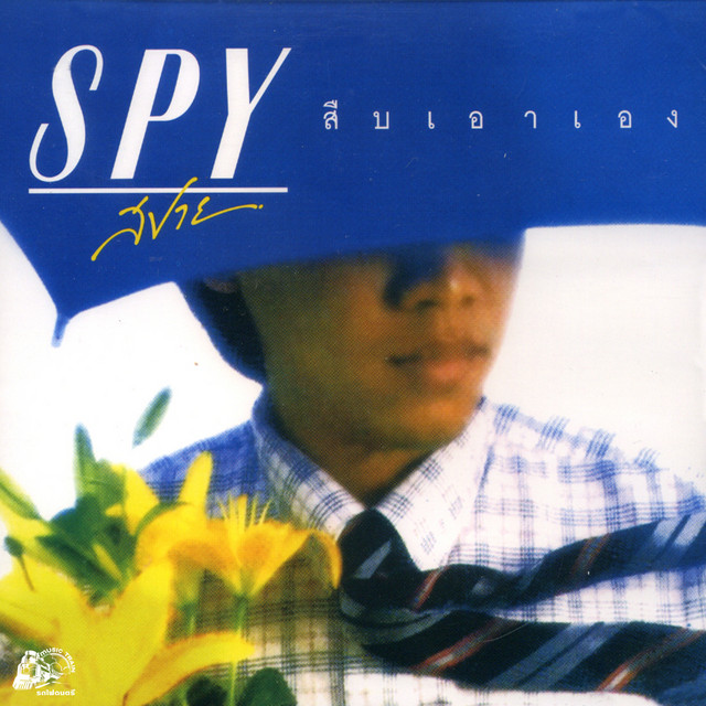 สืบเอาเอง cover art