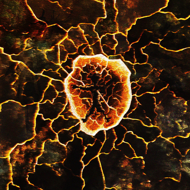 CATHARSIS cover art