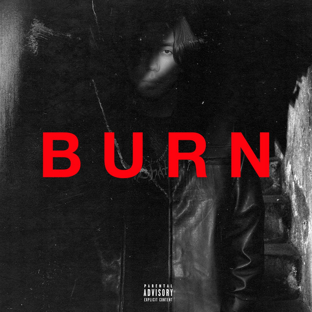 BURN cover art
