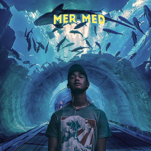 Mer Med cover art