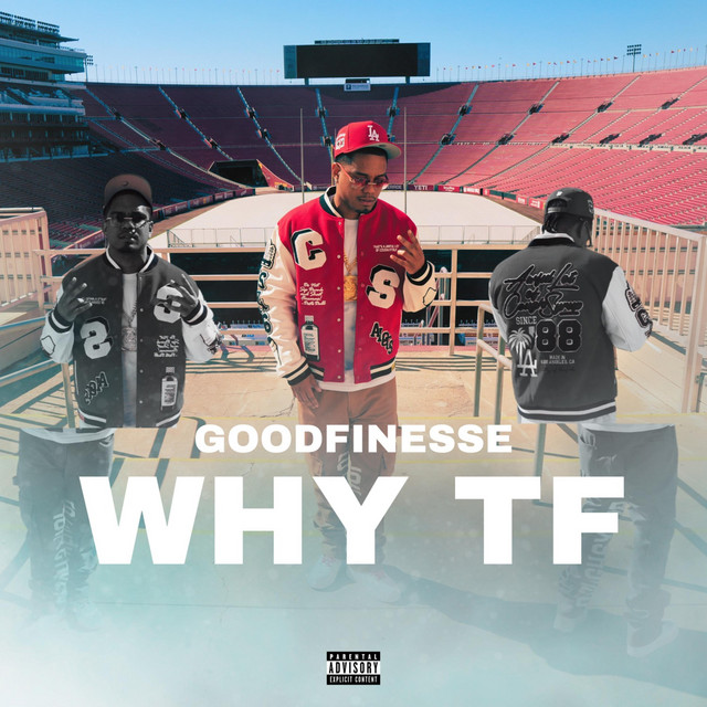WHY TF cover art
