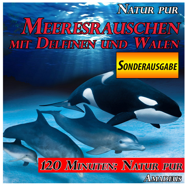 Meeresrauschen mit Delfinen und Walen: Natur pur: Sonderausgabe cover art