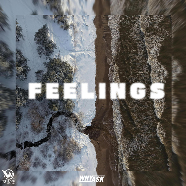 Feelings cover art