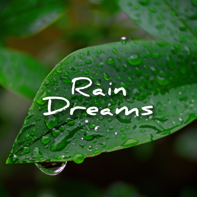 Rain Dreams cover art