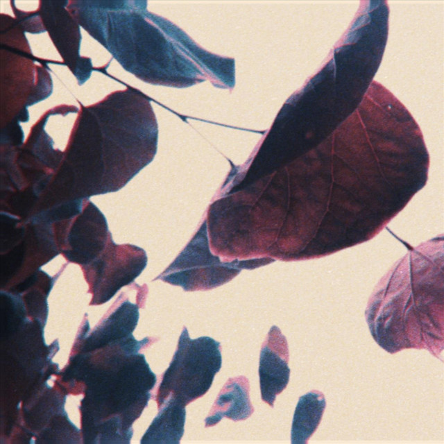 we can rust the world into the dust of the universe cover art