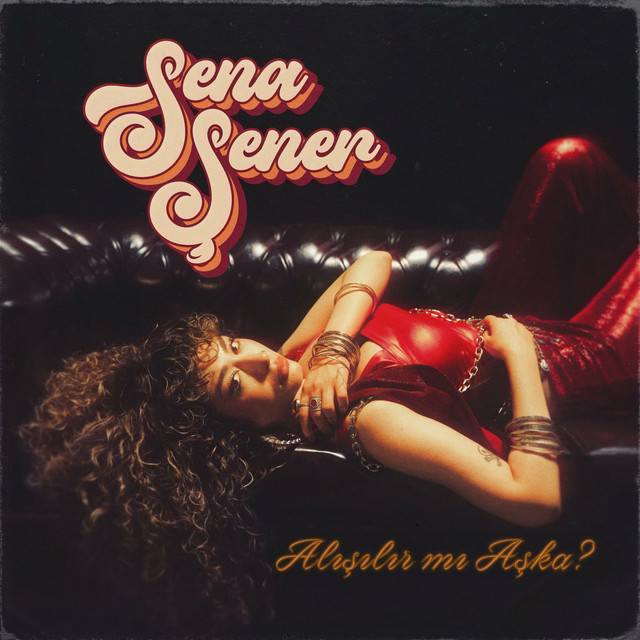 Alışılır Mı Aşka album image