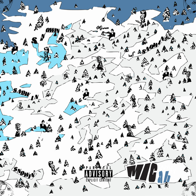 SNOWIN cover art