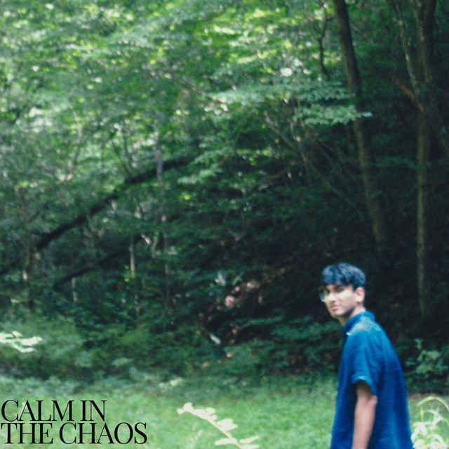 Calm In The Chaos cover art