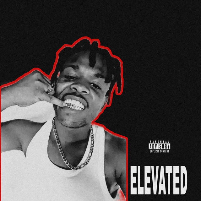 Elevated cover art