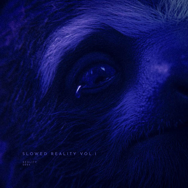 slowed reality vol.1 (slowed + reverb) cover art