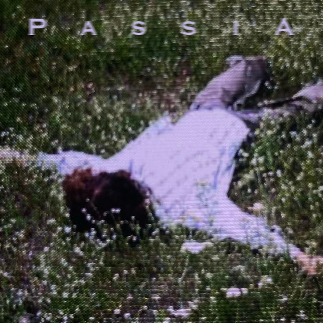 Обкладинка: Втрачаю себе — PassiA