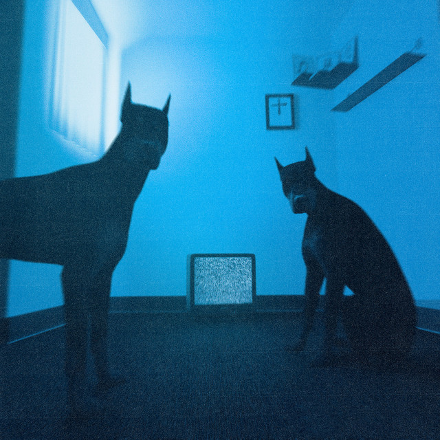 undefined album image