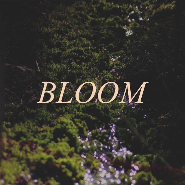 Bloom (single)