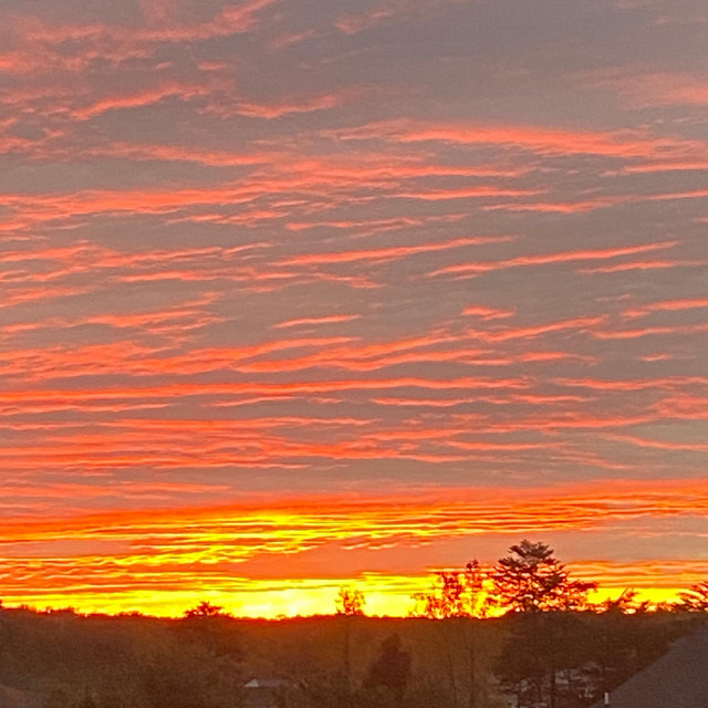 sunset cover art