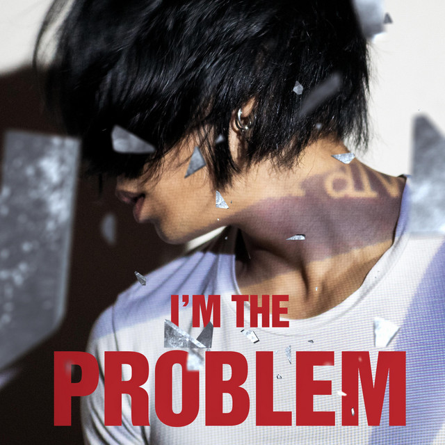 Обкладинка: I'm The Problem — Lerion