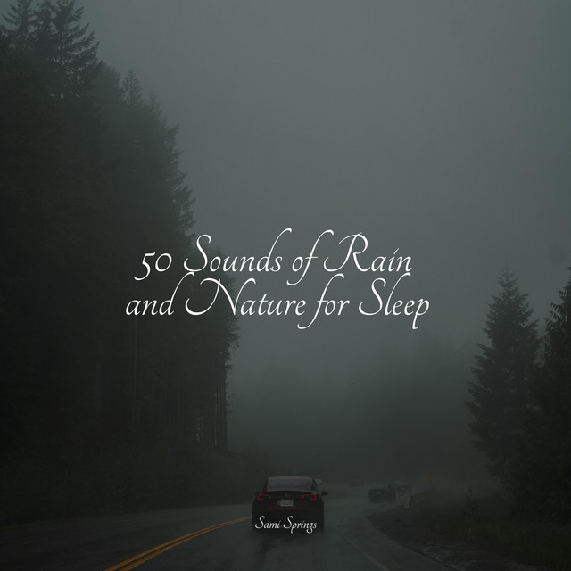 50 Loopable Rain Sounds for Relaxation and Sleep - Album by Calming ...