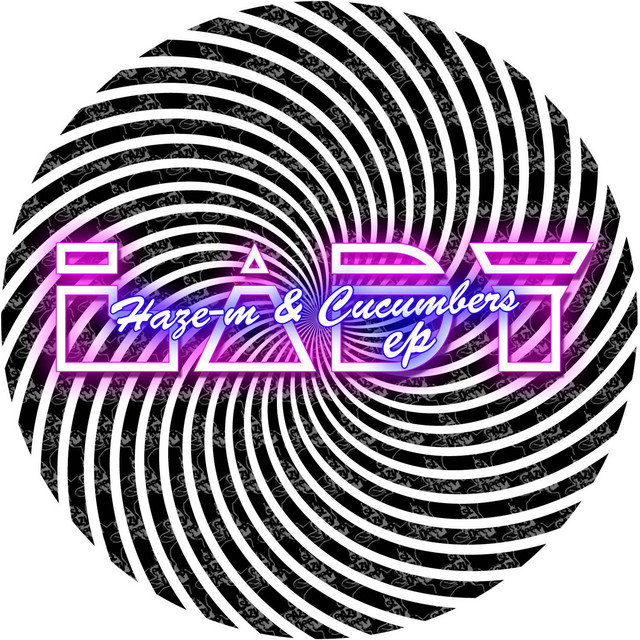 Lady - Animal Picnic Remix cover art