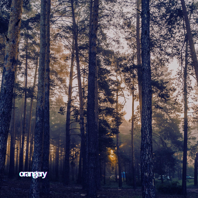 Обкладинка: Coniferous forest — orangery