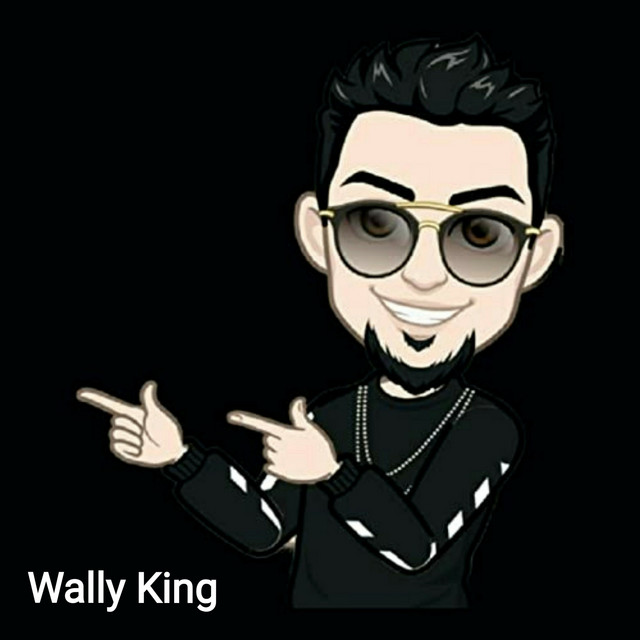 Wally King cover art
