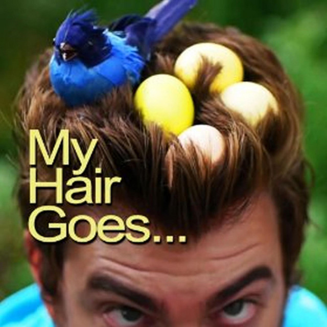 My Hair Goes... cover art