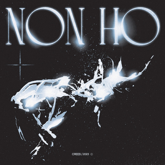 NON HO cover art