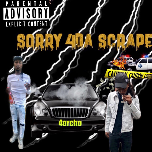 Sorry 4 Da Scrape cover art