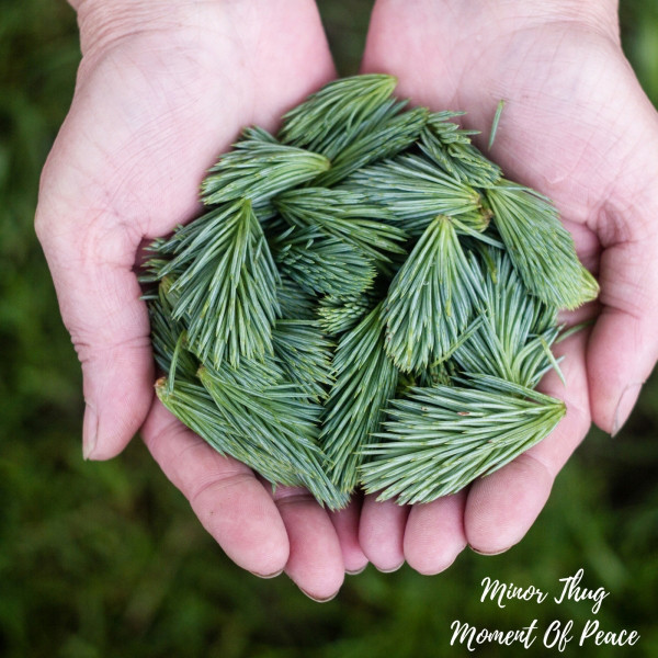 Moment Of Peace cover art