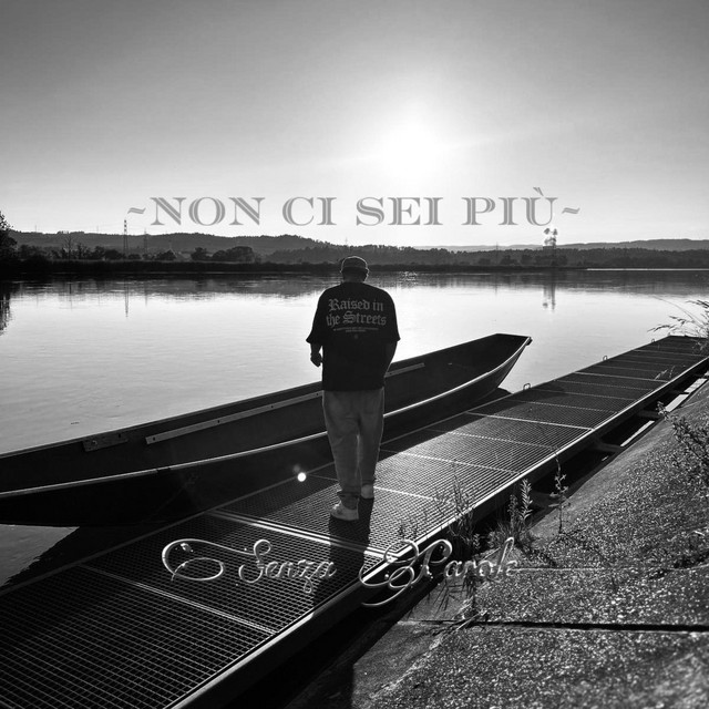 NON CI SEI PIÙ cover