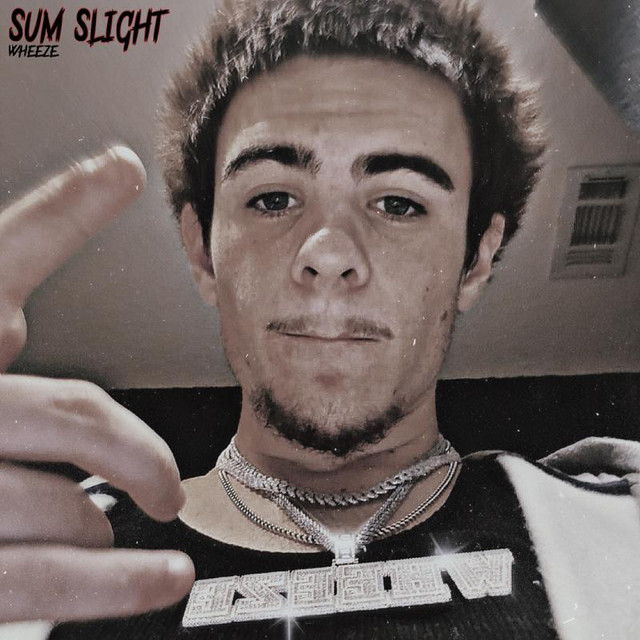 Sum Slight cover art