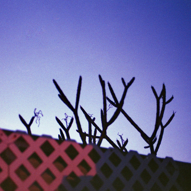 static cover art