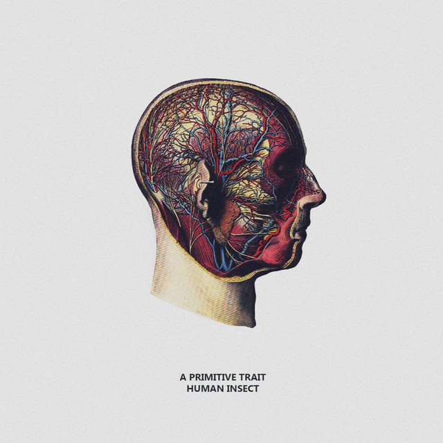 Vile Rationality cover art