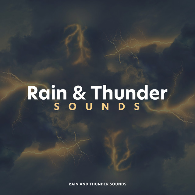 Rain & Thunder Sounds cover art