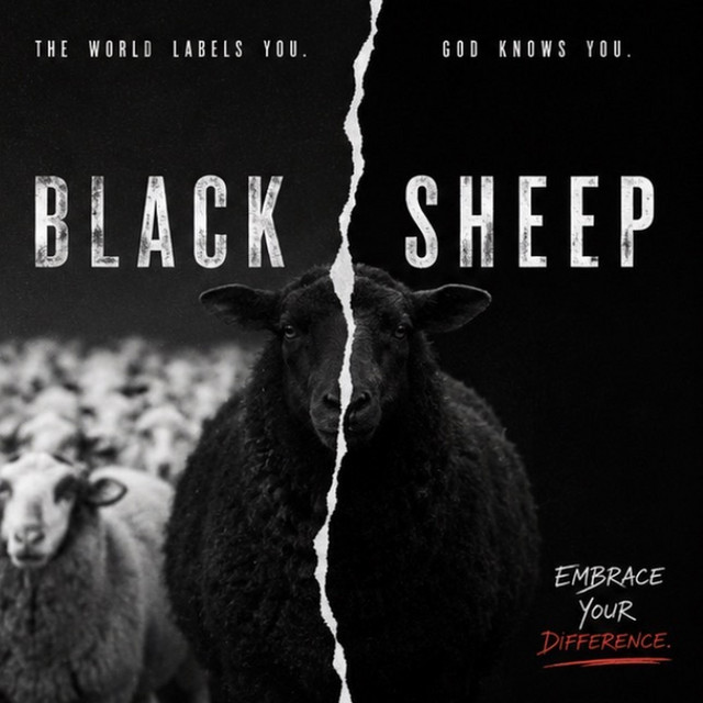 Black Sheep by Isiah Hilt