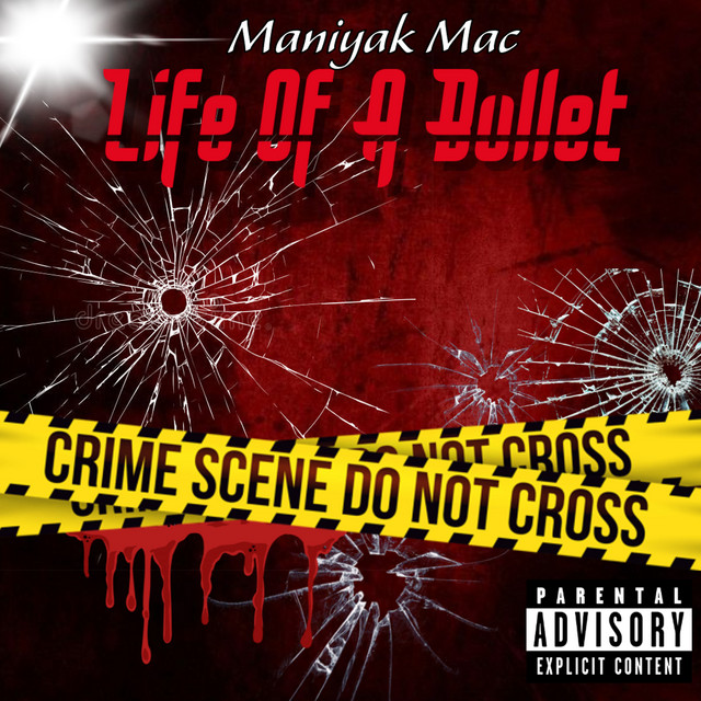 Life of a Bullet