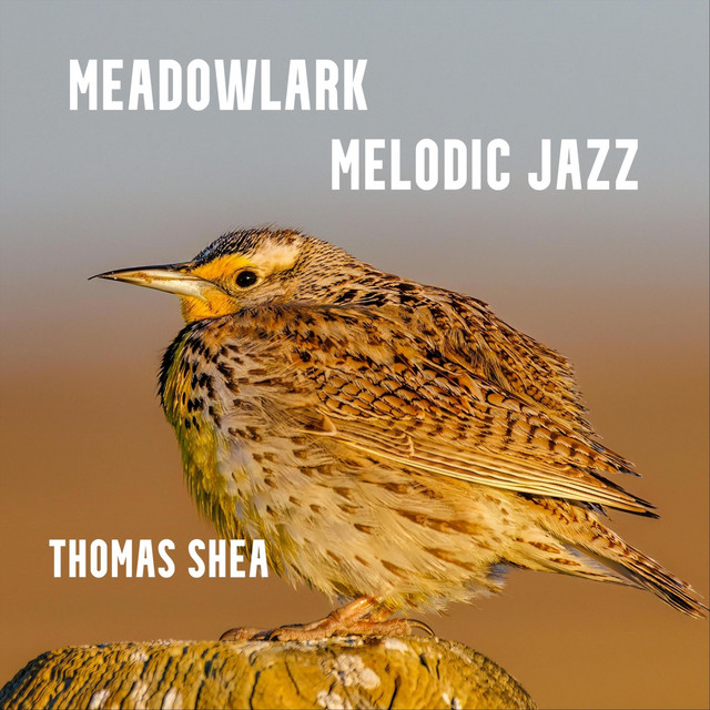 Meadowlark Melodic Jazz cover art