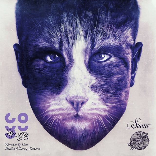 The Nu-Nu Sound (Remixes) cover