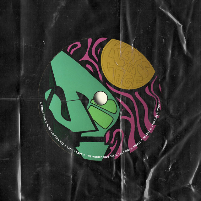 Keys in Cage cover art