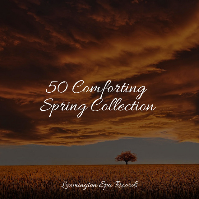 50 Comforting Spring Collection - Album by Nature Sound Collection ...