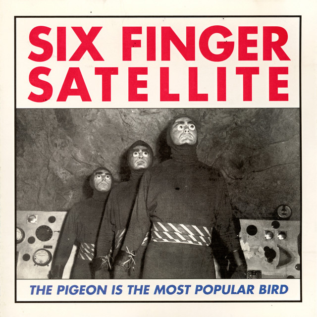 The Pigeon Is The Most Popular Bird cover