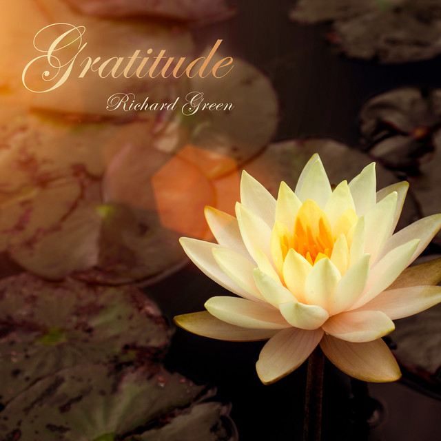 Gratitude - Single by Richard Green | Spotify