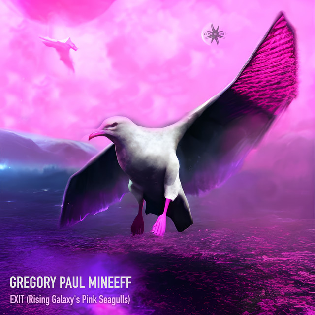 EXIT - Rising Galaxy's Pink Seagulls
