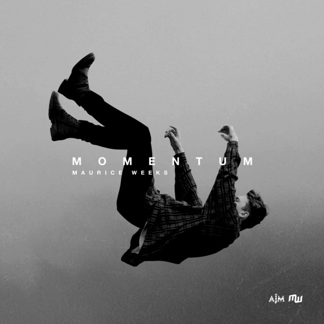 Momentum cover art