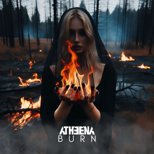 Burn cover art