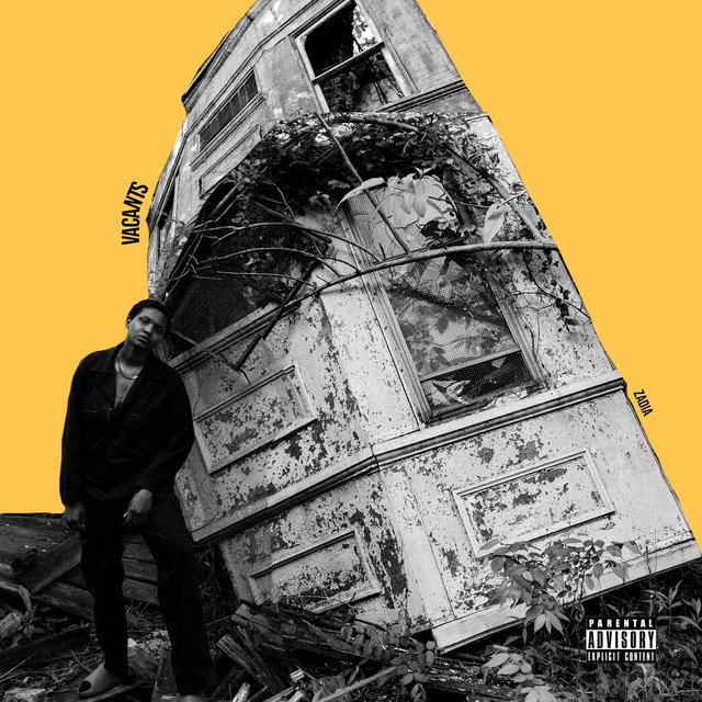 Vacants cover art