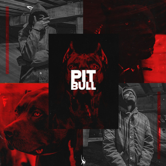 Pitbull cover art